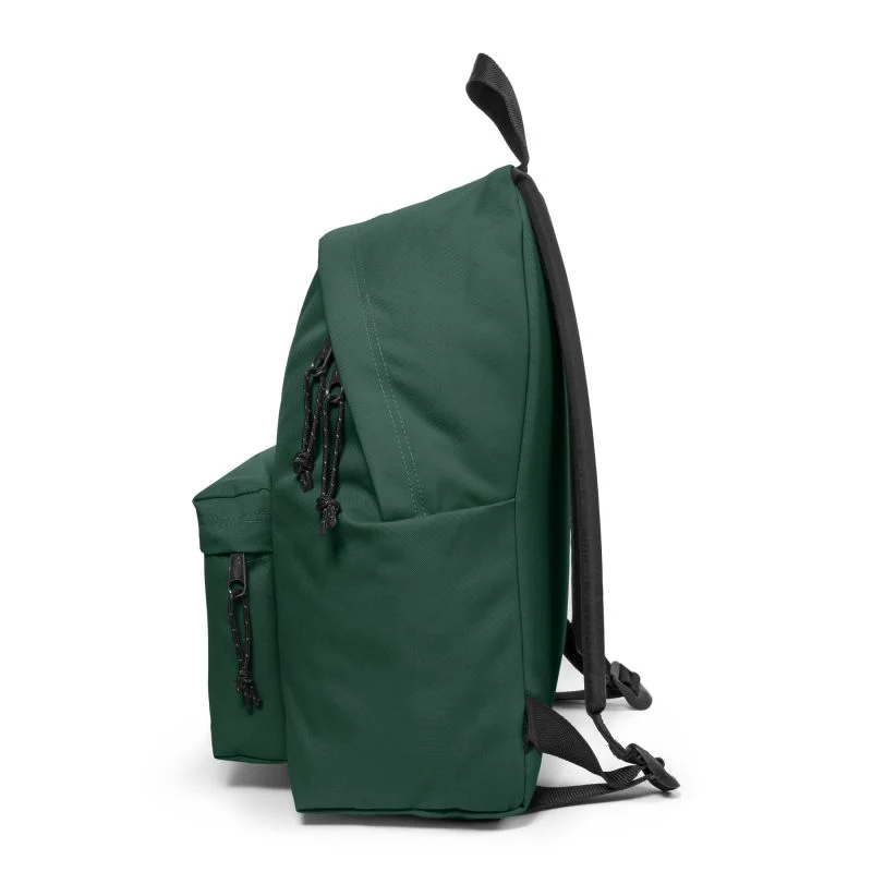 Mochila Eastpak Padded Park - Image 4