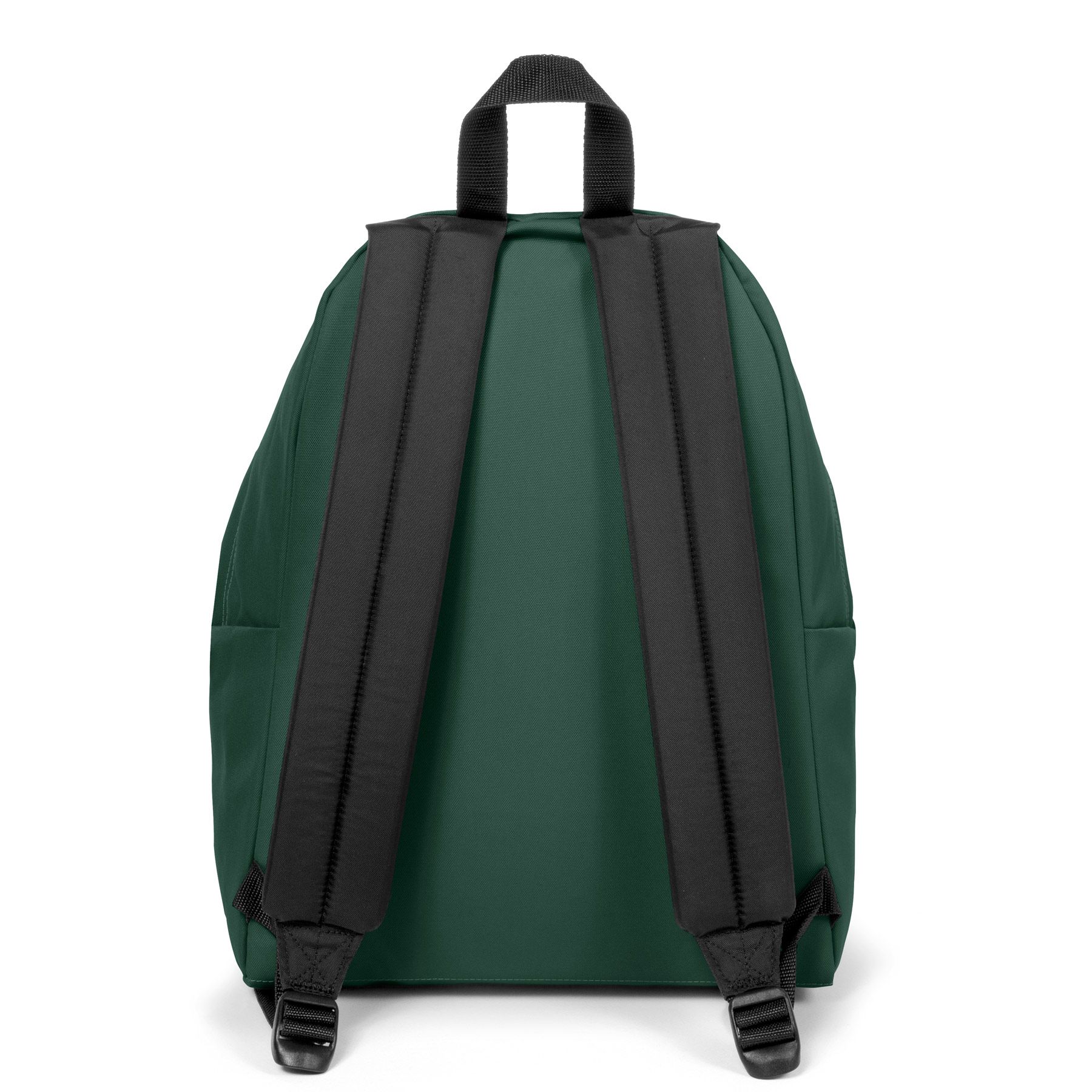 Mochila Eastpak Padded Park - Image 5