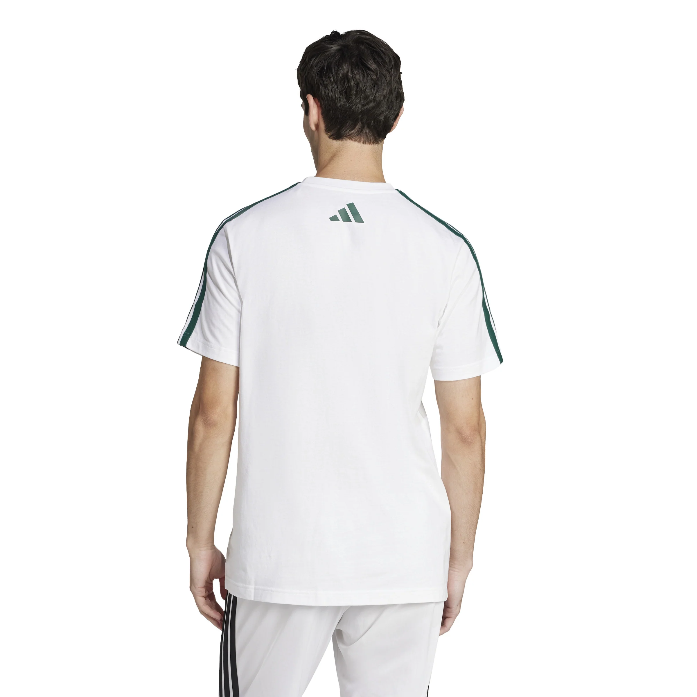 T-shirts de Algodão Homem Adidas Colleg - Image 6